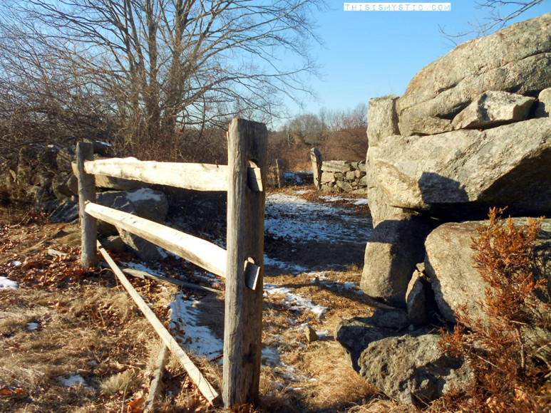 Wood Gate and Brick Wall at Coogan