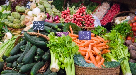 Farmers Markets in and around Mystic