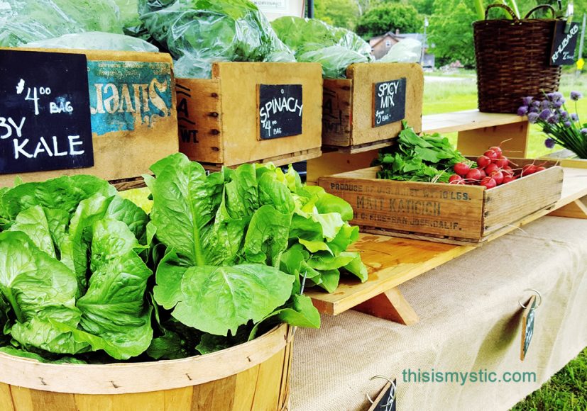 Farmers Markets in Mystic area