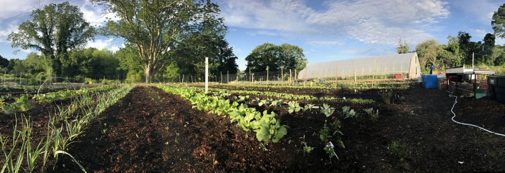 Giving Garden at Coogan Farm
