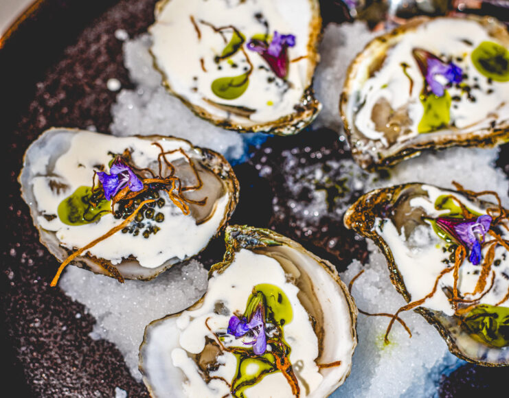 shipwrights daughter oysters